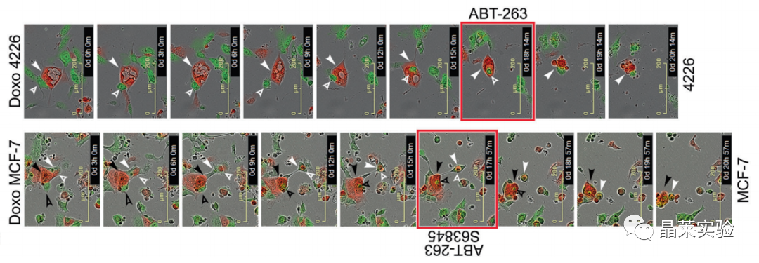 技术资料图片18