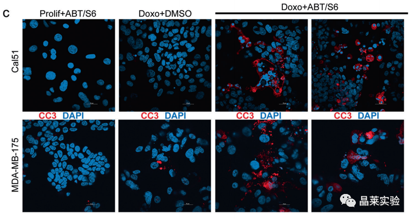 技术资料图片14