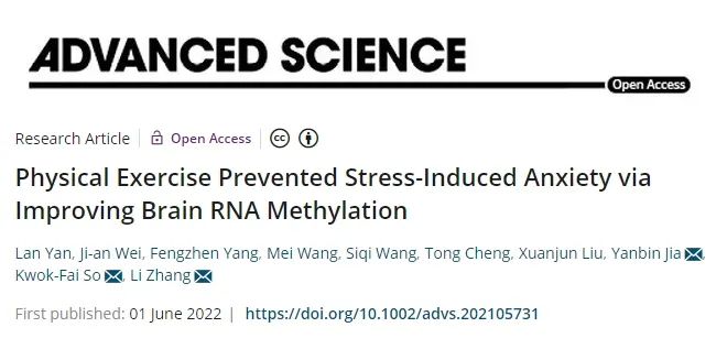 IF=17.52【客户文章】Adv Sci：暨南大学张力/苏国辉团队揭示运动抗焦虑的肝-脑轴机制