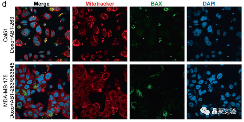 技术资料图片15