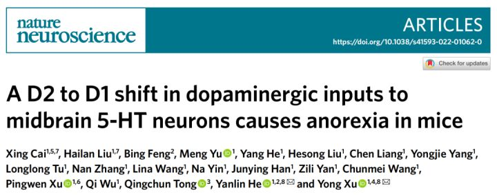大成学堂 | Nat Neurosci一作直播，解锁神经性厌食症发生新机制