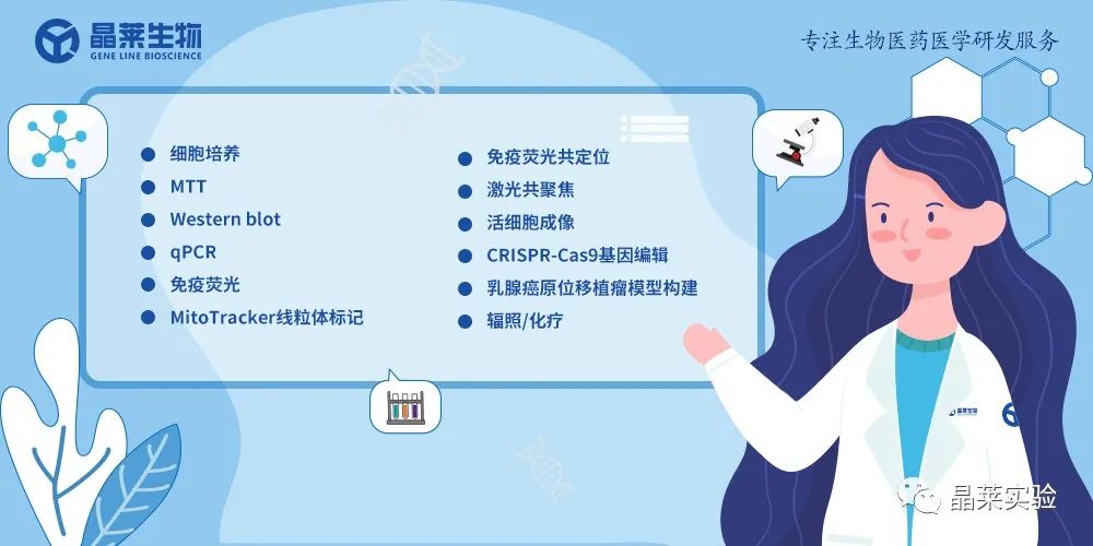 技术资料图片22