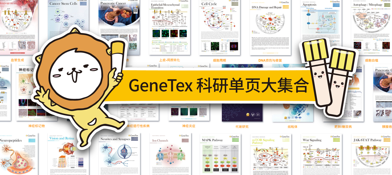 GeneTex 科研单页一次掌握！