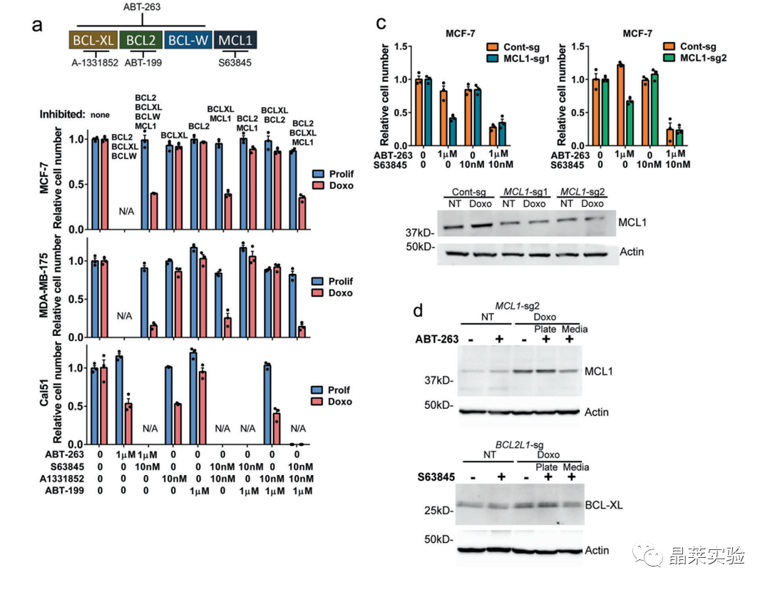 技术资料图片19