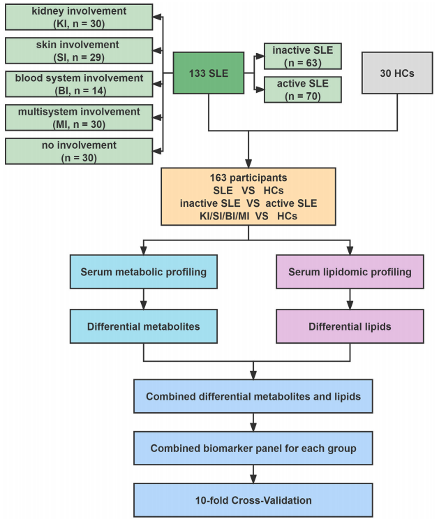 它还是研究“黑洞”吗？聚焦SLE生物标志物