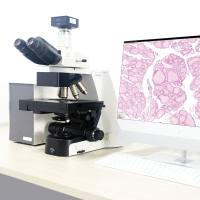  Auto-Ci数字切片扫描仪