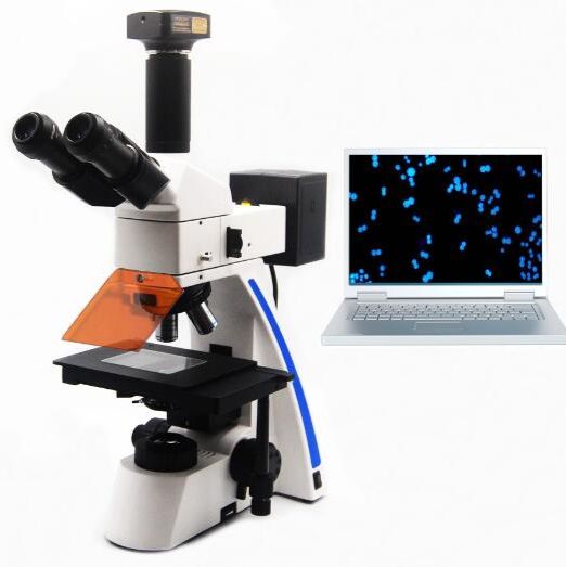 病理切片观察显微镜