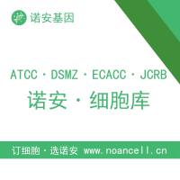 ATCC28935, ATCC 28935	NRRL 3642 [CBS 249.35, MUCL 15446]冻土毛霉,Mucor hiemalis