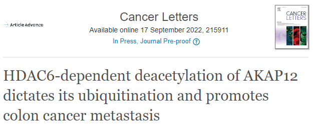 项目文章Cancer Lett (IF 9.756) | 天津医科大学肿瘤医院通过乙酰化修饰组学探秘结肠癌转移新机制
