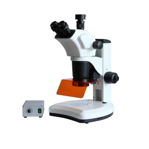 活体组织观察体式荧光显微镜