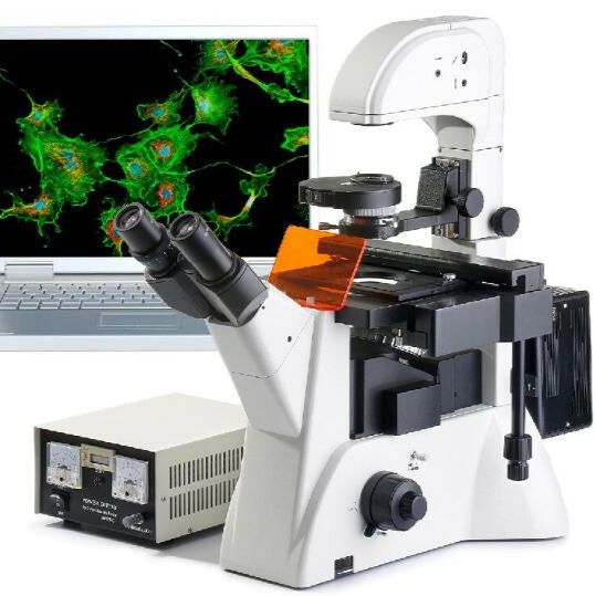 细胞组织观察显微镜