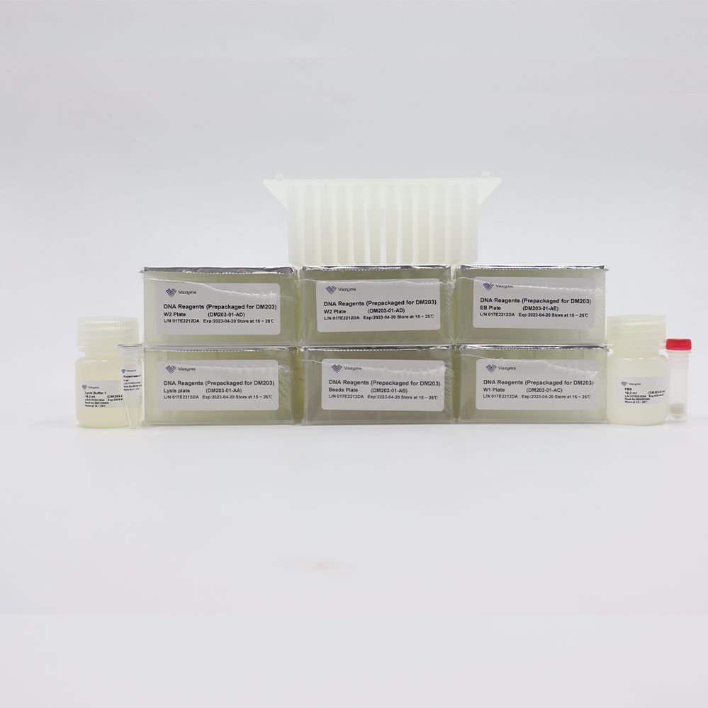 磁珠法病原微生物DNA提取试剂盒 VAMNE Magnetic Pathogen DNA Kit (KF Prepackaged)（DM203）