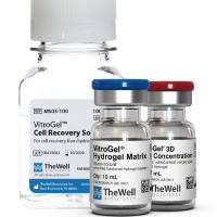 VitroGel® ORGANOID
