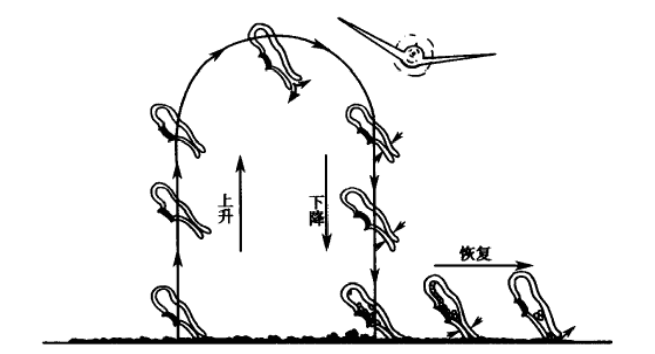 图片预览