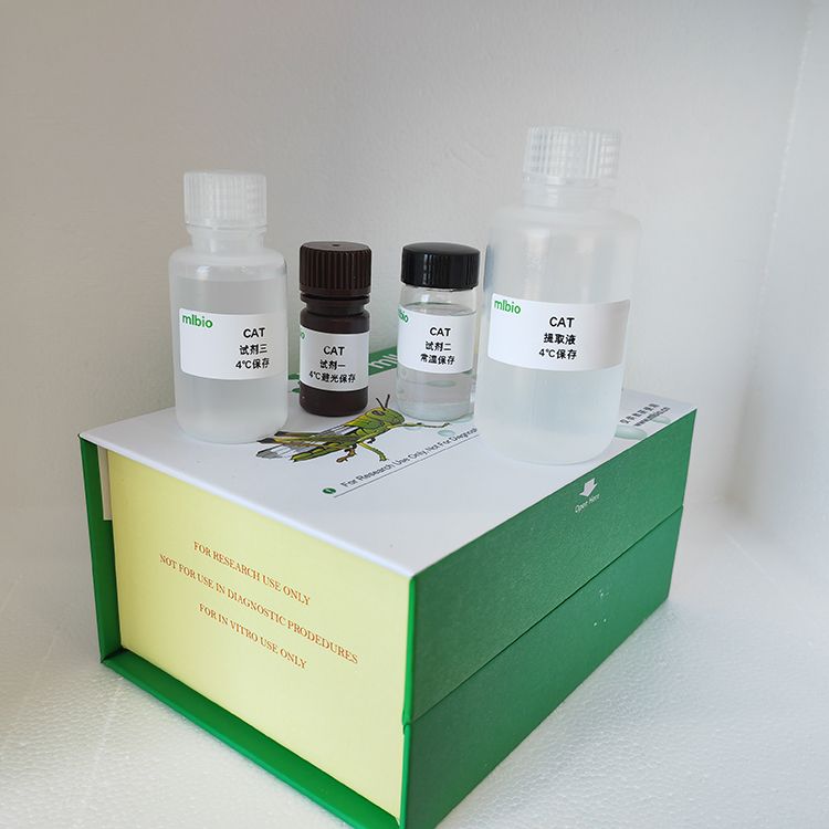 结合态淀粉合成酶GBSS测试盒