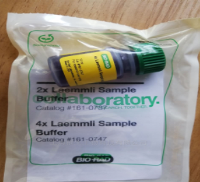 Bio-Rad伯乐1610747 4xLaemmli缓冲液1