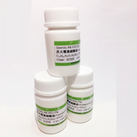 脂肪酶（疏绵状嗜热丝孢菌）,9001-62-1