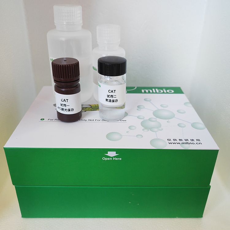 外切-β-1，4-葡聚糖酶C1/纤维二糖苷酶活性测定试剂盒