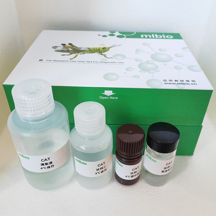 BCA法蛋白含量测定试剂盒