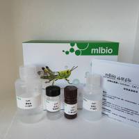 双缩脲法蛋白质含量测定试剂盒