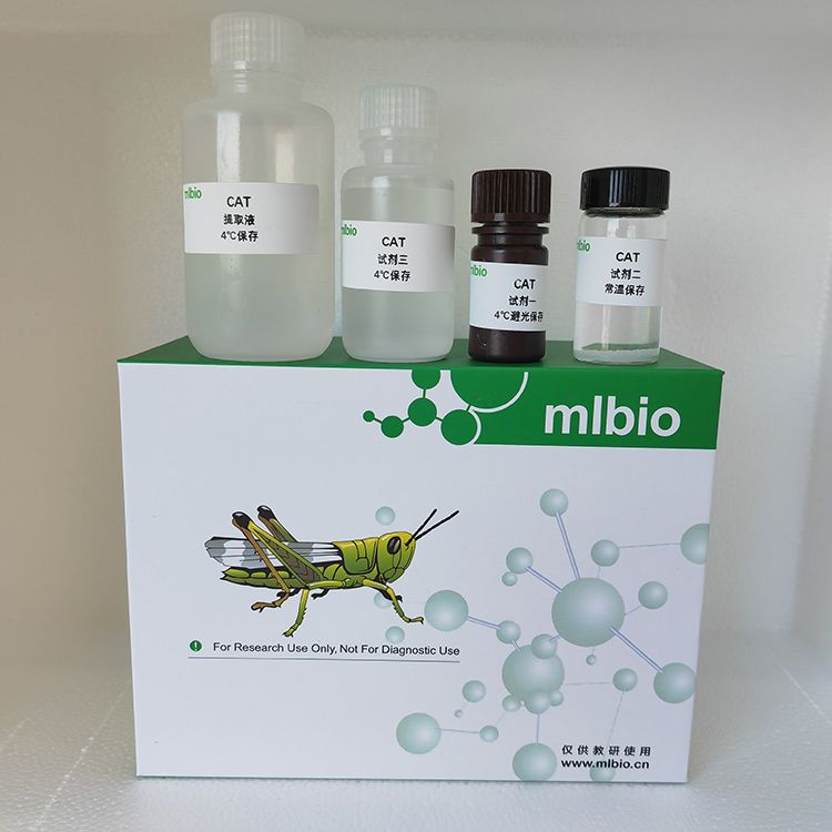 多功能氧化酶mixed function oxidase，MFO试剂盒
