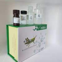 土壤淀粉酶Soil Amylase，S-AL试剂盒