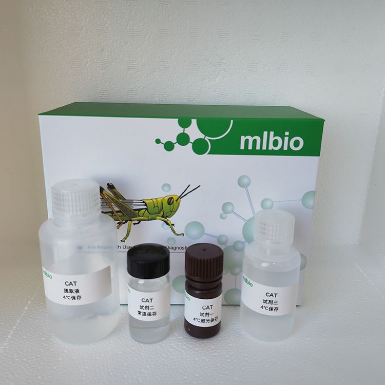 锰过氧化物酶MnP测试盒