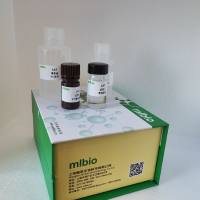 肝酯酶Hepatic lipase，HL试剂盒