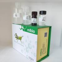 蔗糖酶sucrase试剂盒