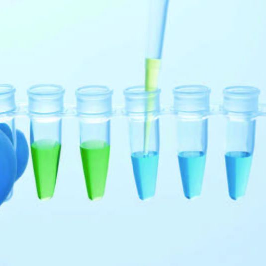 QuantiNova SYBR PCR Mix Kit（20X500）