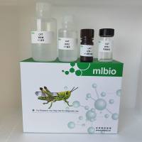 硫氧还蛋白过氧化物酶thioredoxin peroxidase, TPX活性测定试剂盒