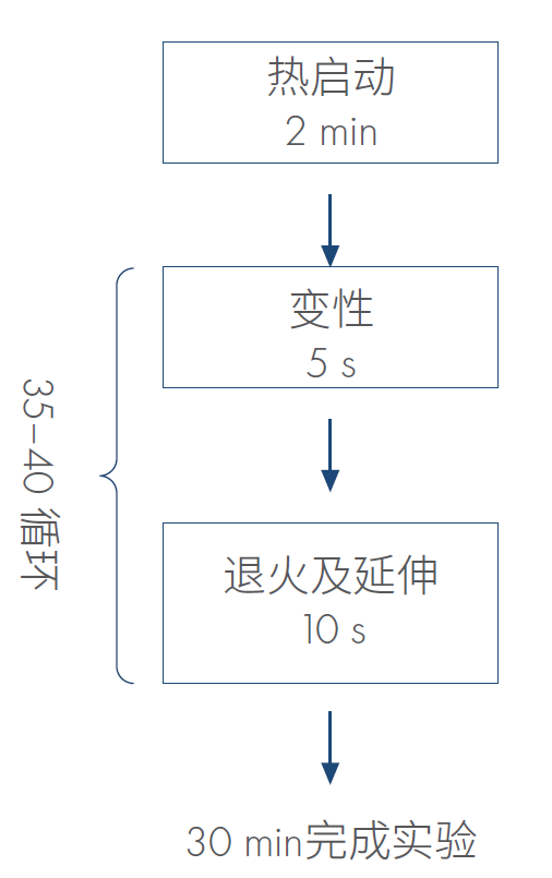 QuantiNova SYBR PCR Mix Kit（20