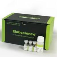 长臂生物素标记试剂盒