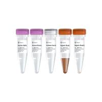 Ribo-MagOff rRNA Depletion Kit (Human/Mouse/Rat