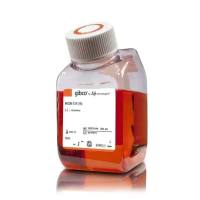 MCDB 131 培养基，不含谷氨酰胺 大量现货