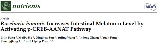 百趣代谢组学解读，罗氏菌属与肠道褪黑素有何关联？肠道疾病治疗又有新策略！