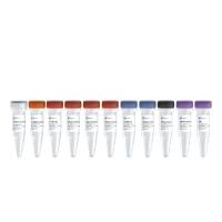 建库高效、检出灵敏 TruePrep RNA Library Prep Kit