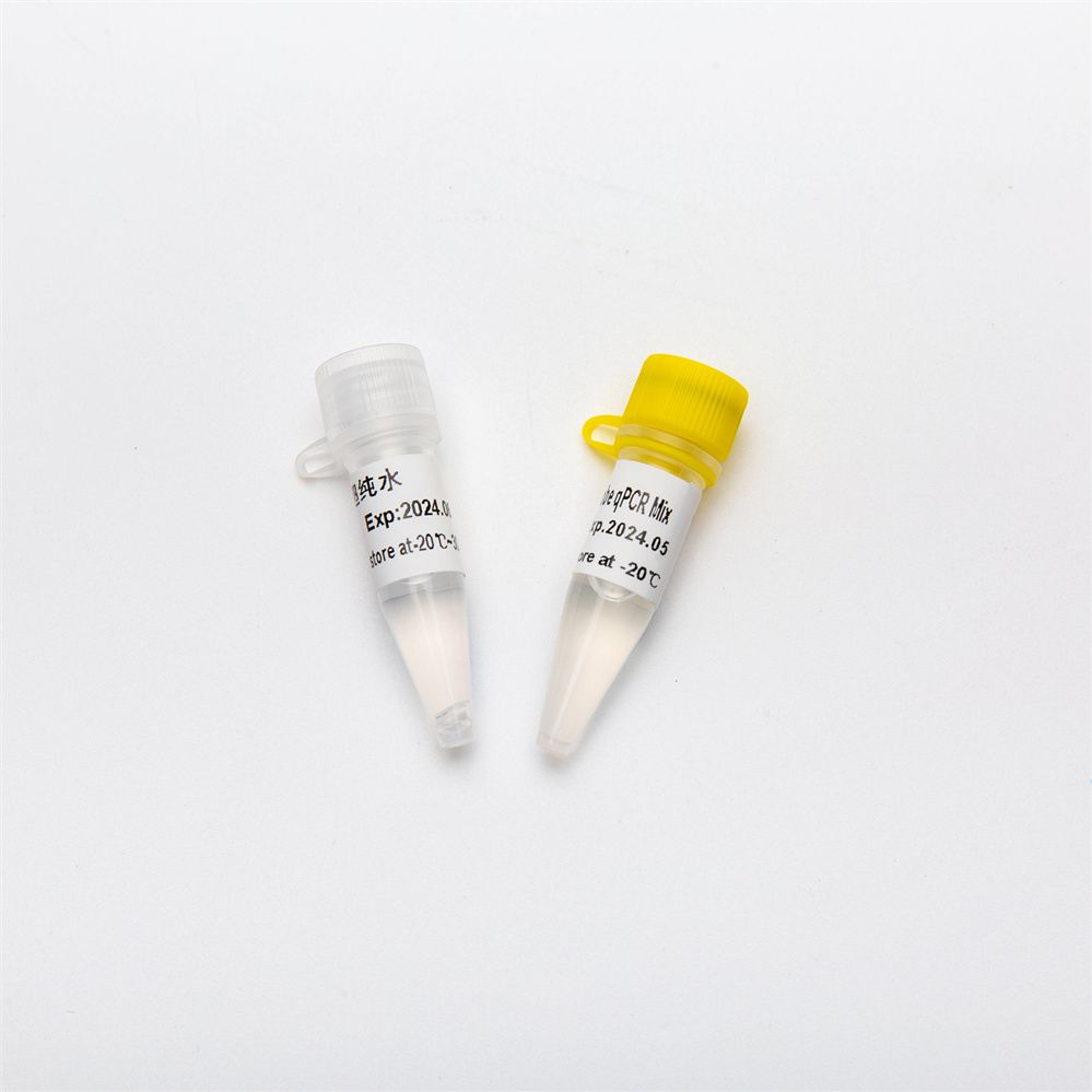 高效多重qPCR预混液Multiplex Probe qPCR Mix