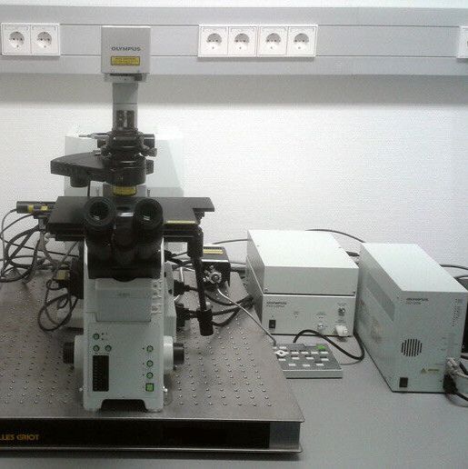 二手奥林巴斯IX81光谱共焦激光扫描显微镜Fluoview 1000