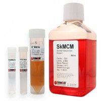 3501 ScienCell 骨骼肌细胞培养基SkMCM, Skeletal Muscle Cell Medium