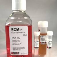 ScienCell 1021 Endothelial Cell Medium-rat内皮细胞培养基-大鼠