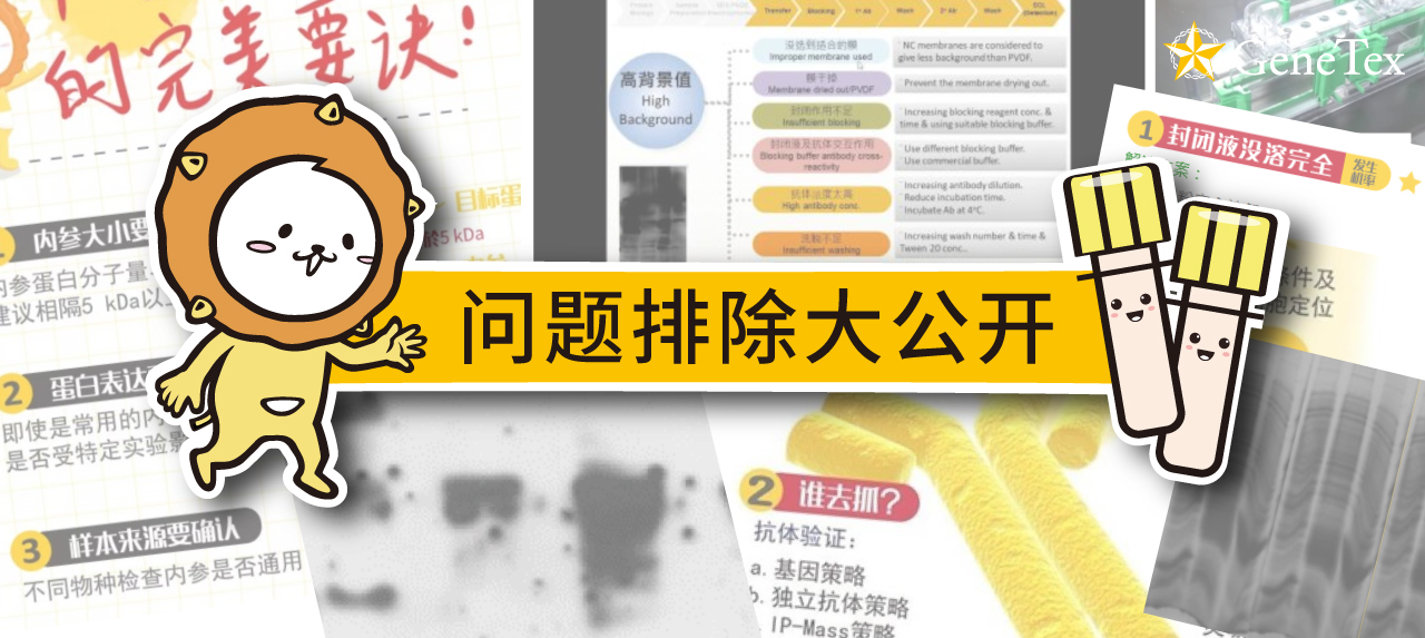 GeneTex FAQ：解答您的科研疑惑