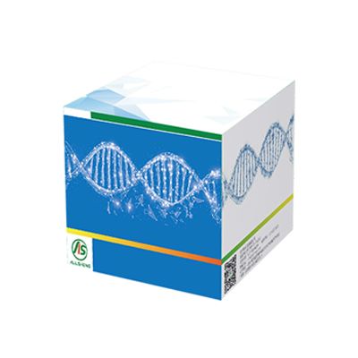 奥盛 dsDNA 高灵敏度定量分析试剂盒 双链DNA