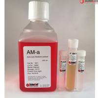 1831 ScienCell动物星形胶质细胞培养基AM-a Astrocyte Medium-animal