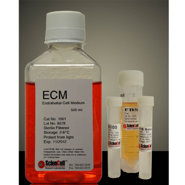 ScienCell 1001-GF内皮细胞培养基-不含葡萄糖（ECM-GF）Endothelial Cell Medium – No Glucose