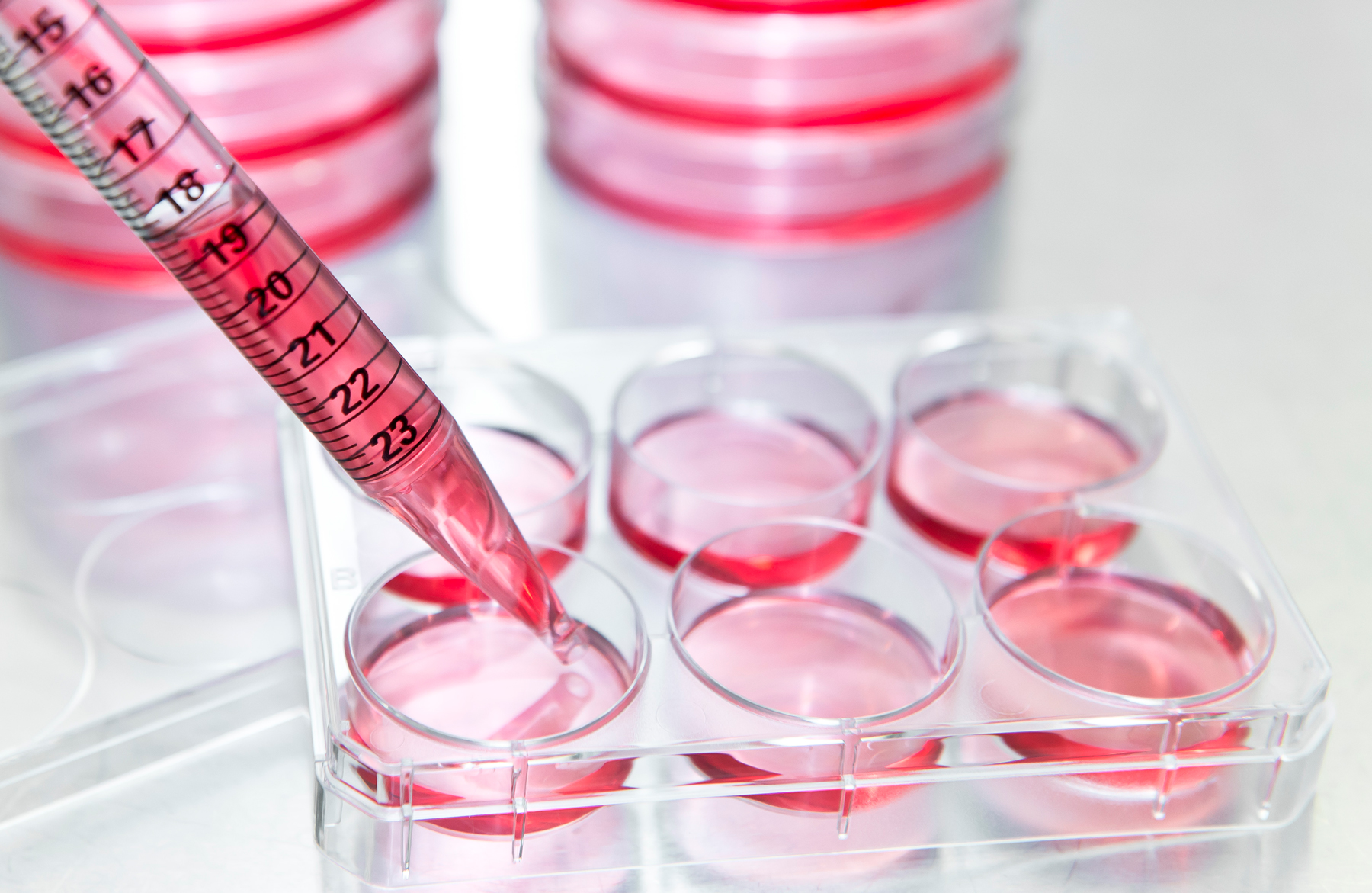 Umibio官网 全新发布，欢迎来找茬，礼品送不停！