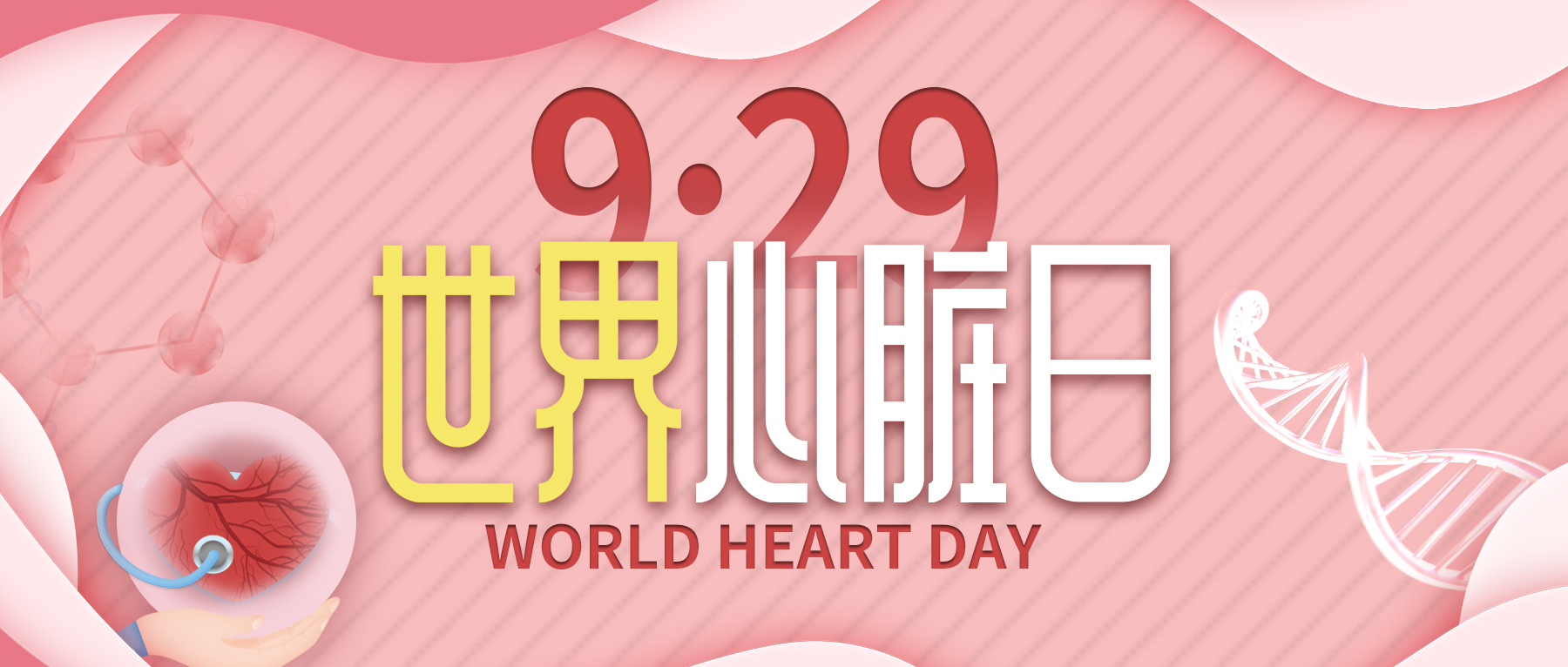 世界心脏日|聊一聊心血管研究小鼠模型