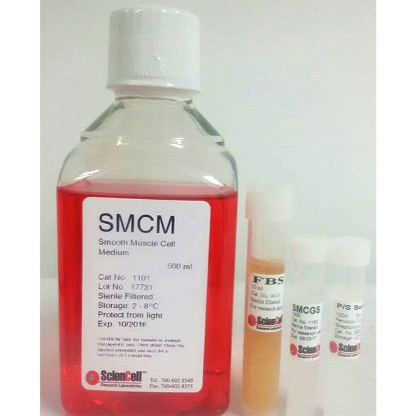 1101 ScienCell平滑肌细胞培养基，Smooth Muscle Cell Medium