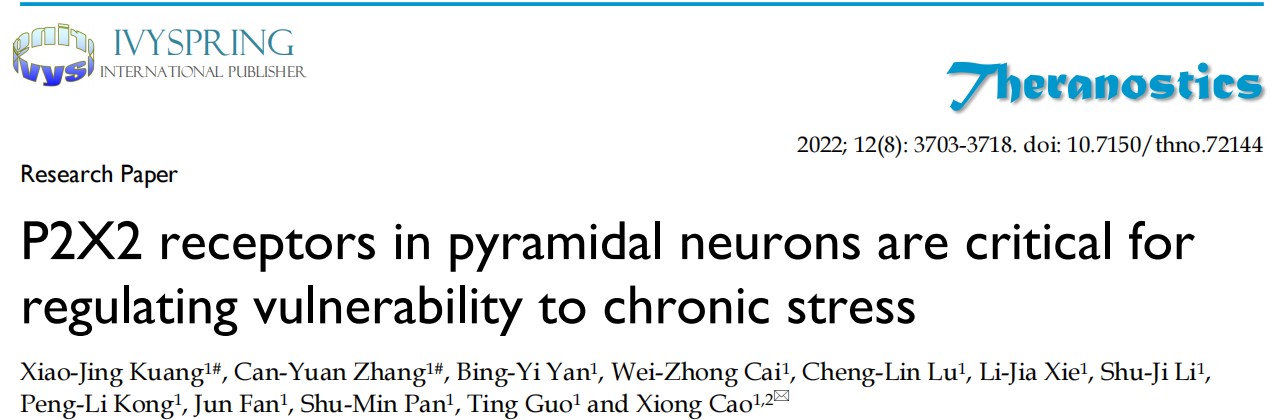 IF=11.60【客户文章】Theranostics：南医大曹雄课题组揭示抑郁症治疗的潜在靶点
