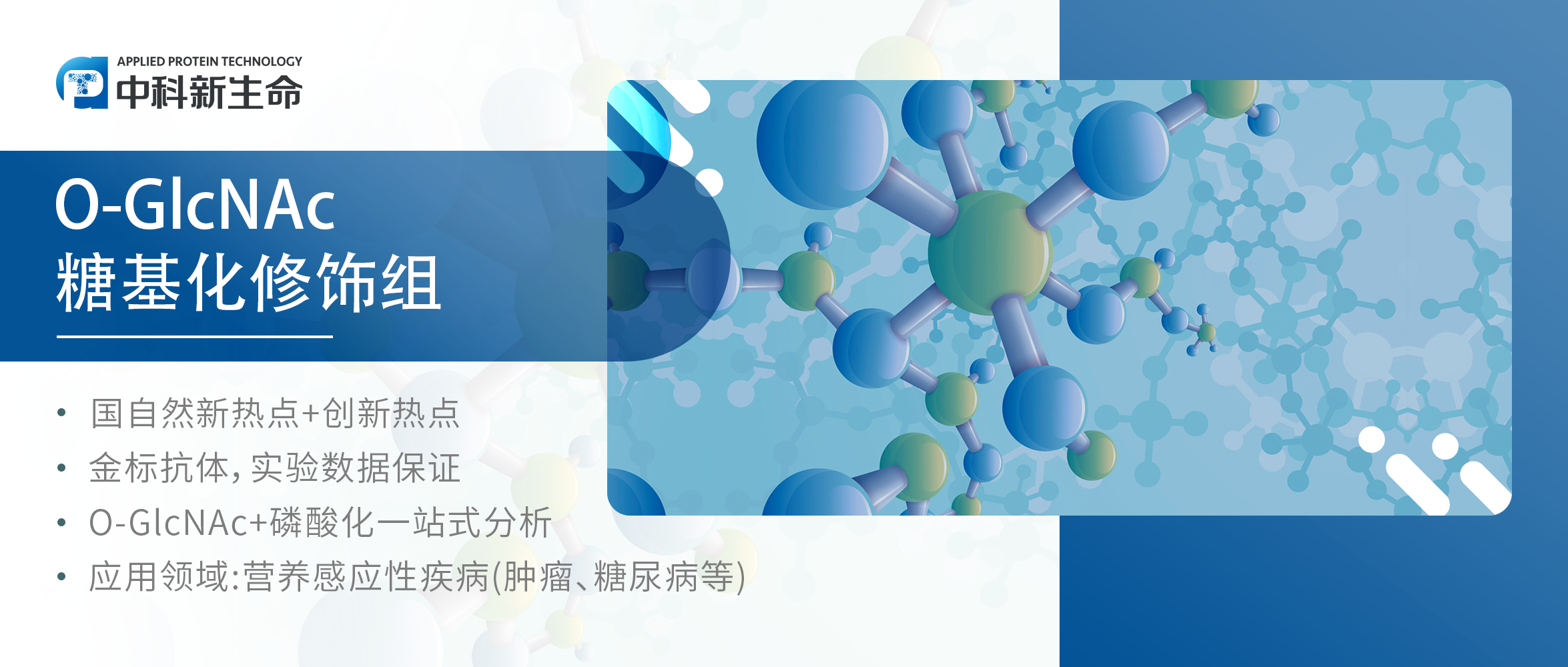 国自然研究新宠：O-GlcNAc糖基化修饰 | 应用思路盘点